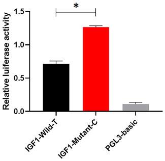A Novel SNP in the Promoter Region of IGF1 Associated With Yunshang Black Goat Kidding Number via Promoting Transcription Activity by SP1
